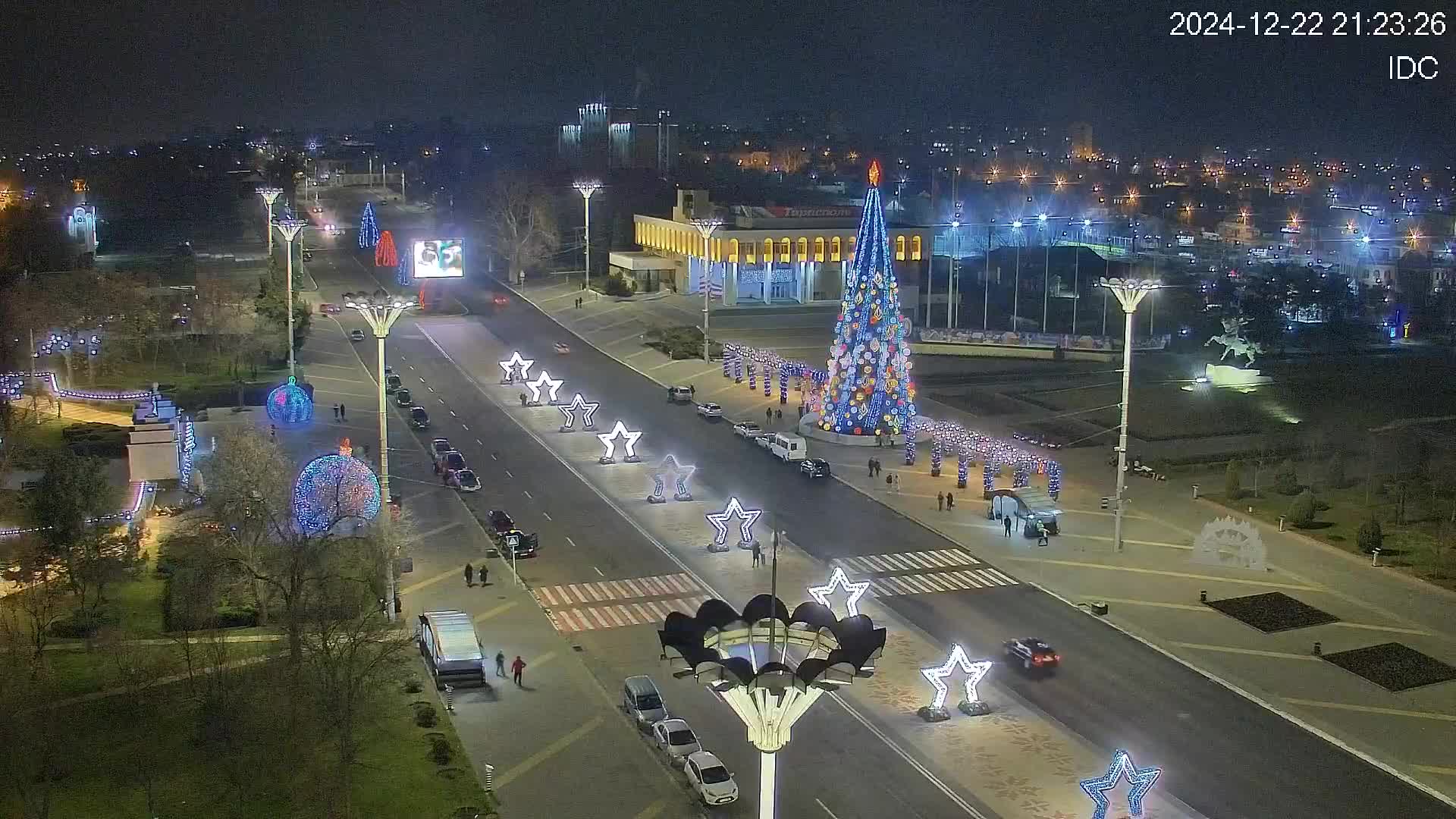 Сколько стоит ёлка? Цены на новогодние деревья в Тирасполе