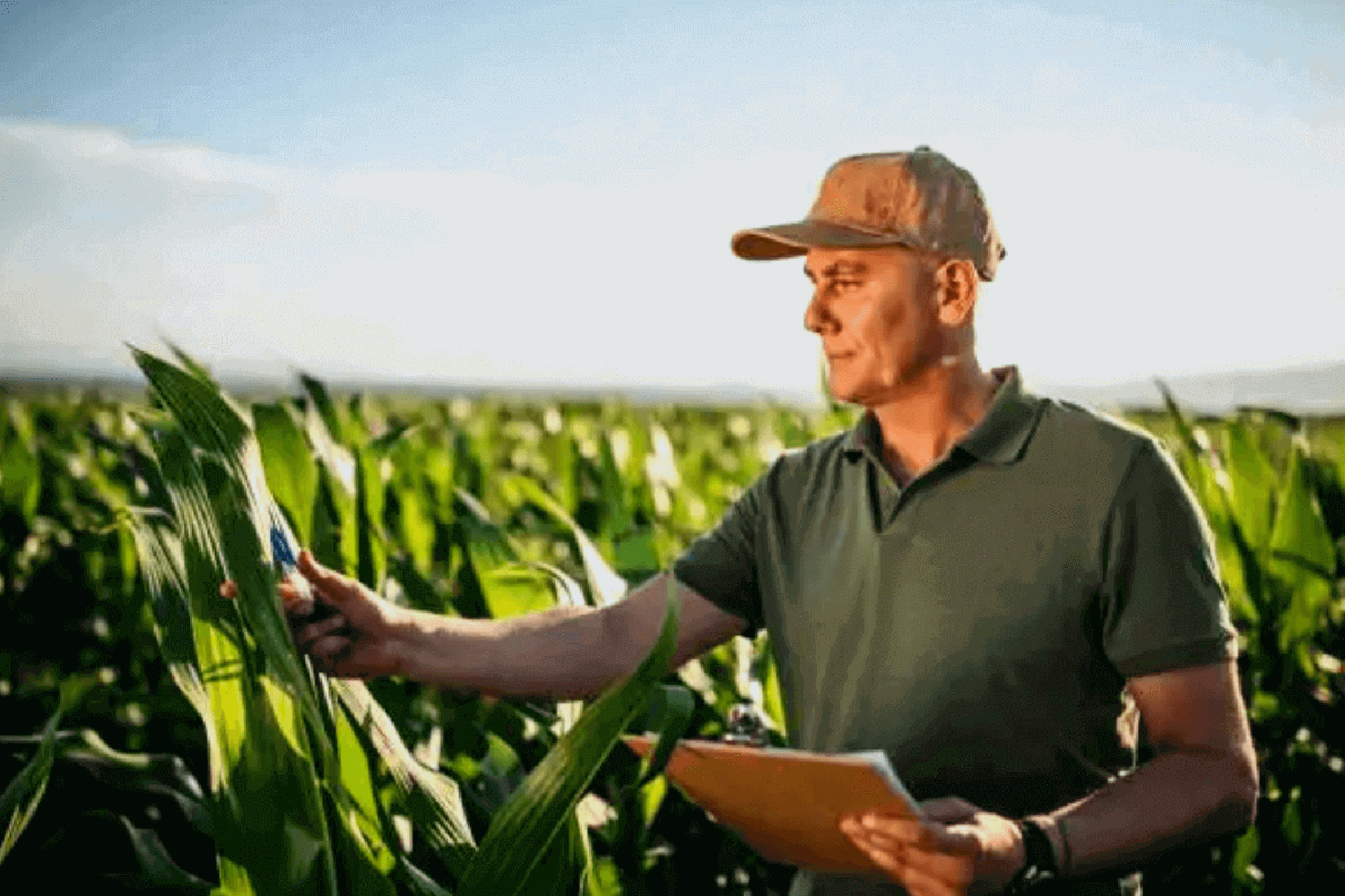agronomka professii