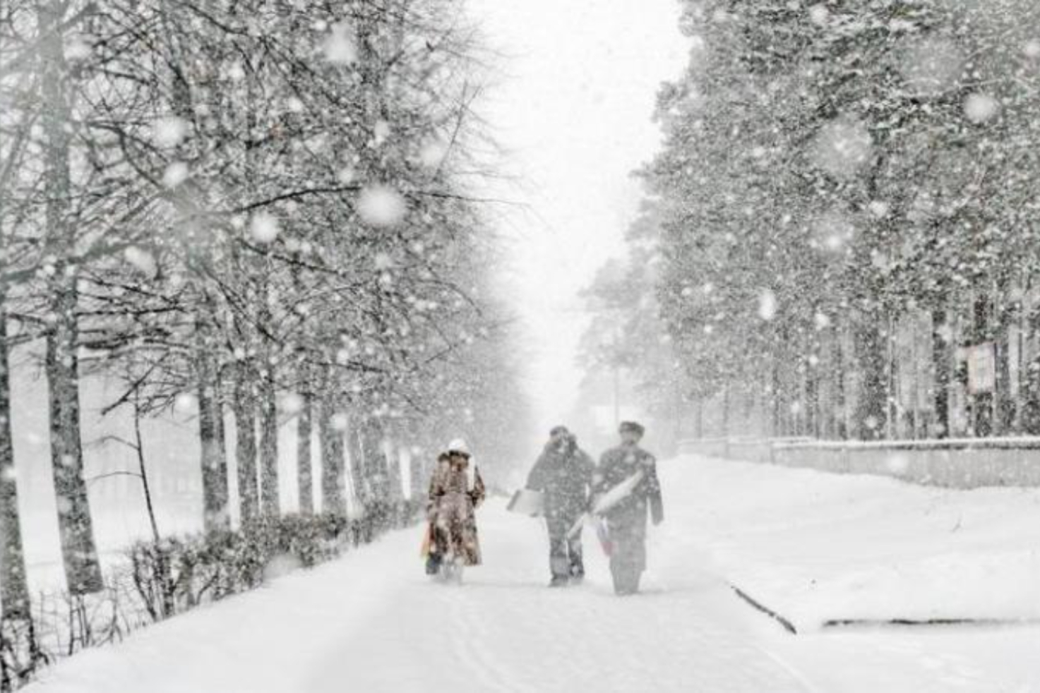 Мокрый снег и метель такая погода ждёт Приднестровье в понедельник