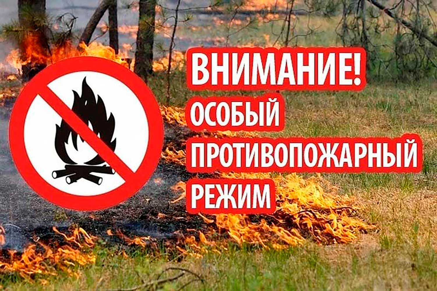 Правительство продлило особый противопожарный режим до 31 августа в связи с высокой пожарной опасностью